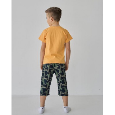 Подростковый комплект с шортами на мальчика - Мишка на серфе