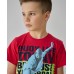 Підлітковий комплект із шортами на хлопчика - Скейт