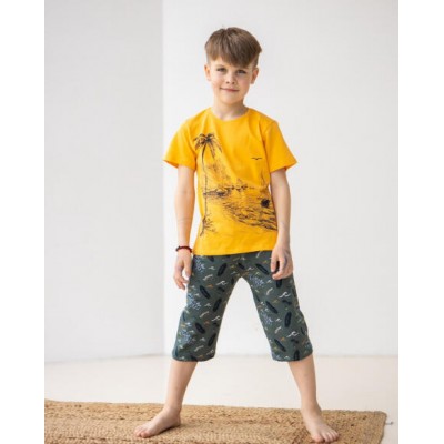 Подростковый комплект с шортами на мальчика - Пальмы