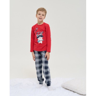 Детская пижама для мальчика - Енот-рок-звезда